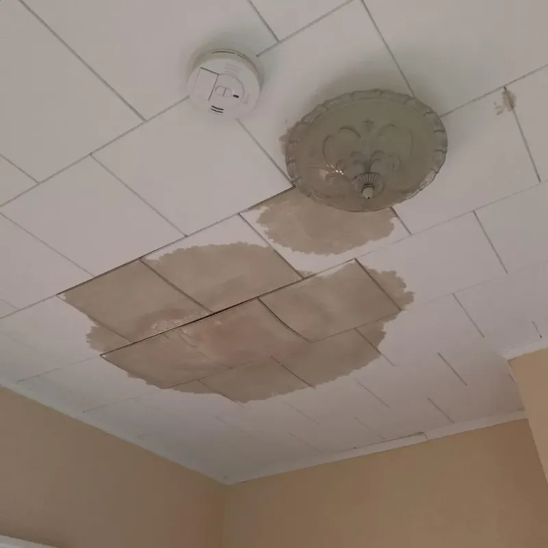 Ceiling Water Damage Repair in Collinsville, MS