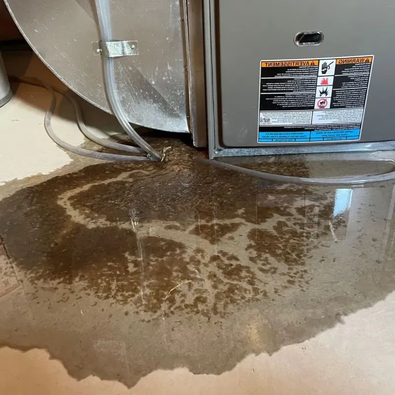 Pipe Burst and Leak Restoration in Collinsville, MS