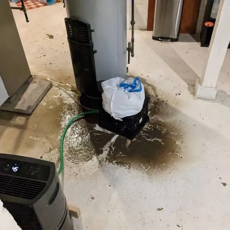 Sewage Backup Cleanup Service in Collinsville, MS